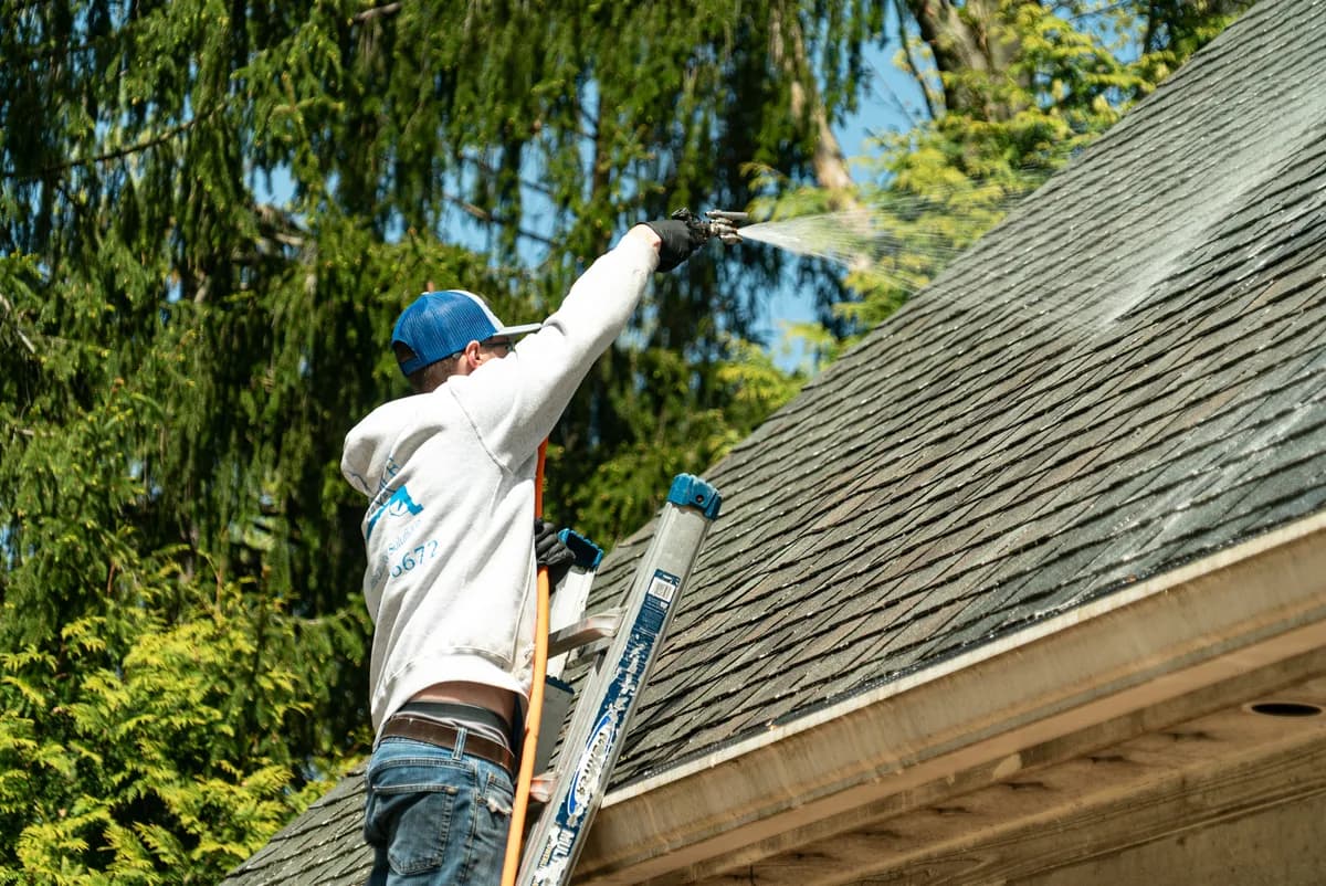 Roof Cleaning