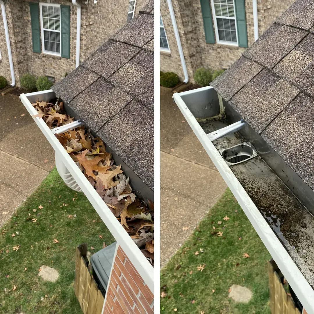Gutter Cleaning