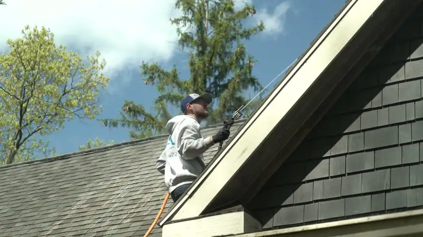 Six Mile technician on a roof, soft washing moss and black streaks from the shingles